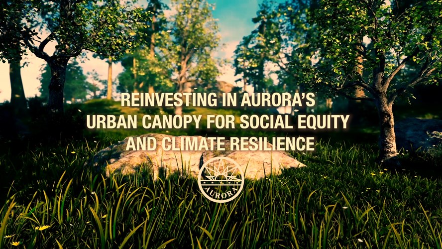 Aurora Receives $5M Grant for Urban Tree Canopy