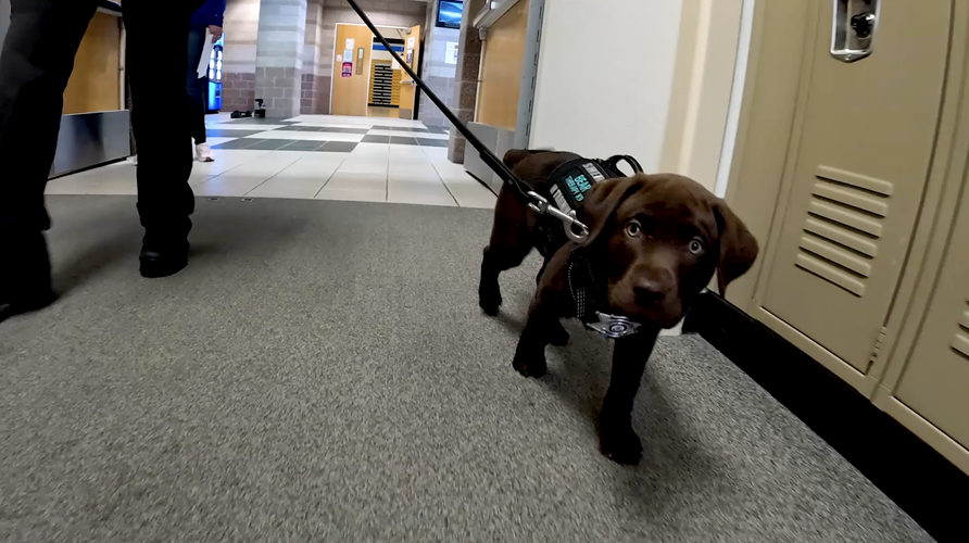 New K9 Brings Smiles to Aurora Schools